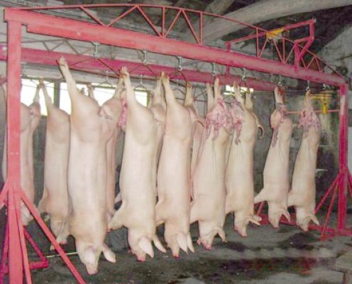 Prin pieţe şi târguri carnea de porc porneşte de la 8,5 lei per kg în viu şi 14-18 lei cea prelucrată